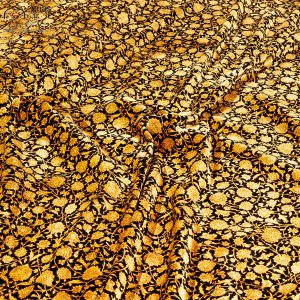فرش دستباف دوازده متری تمام ابریشم طرح افشان مارک حسینی کد D02499G